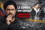 La sombra de Cepeda